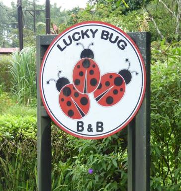 Lucky Bug B AND B