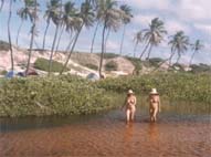 Massarandupio Beach Bahia Brazil