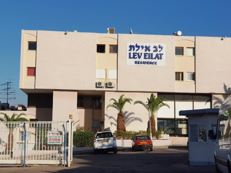 Israel Lev